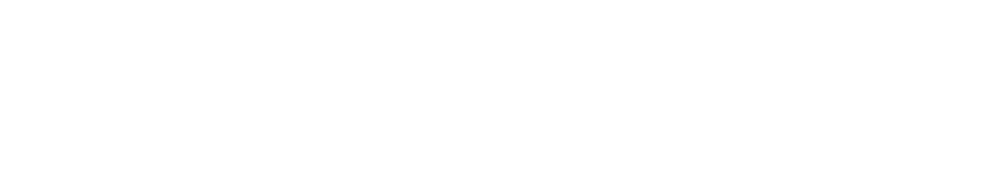 Sturdy Bridge Logo